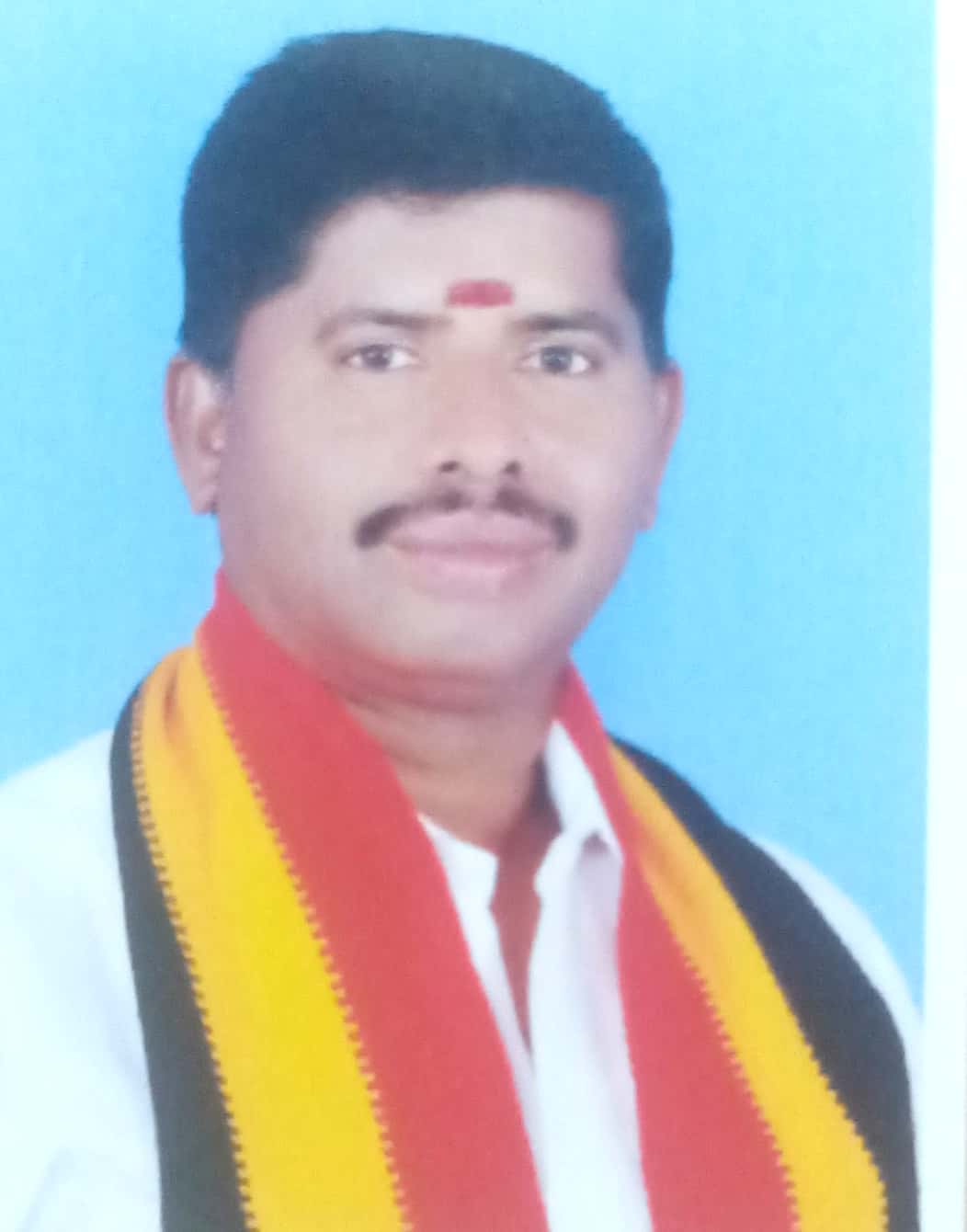 Vijayasankar.P.