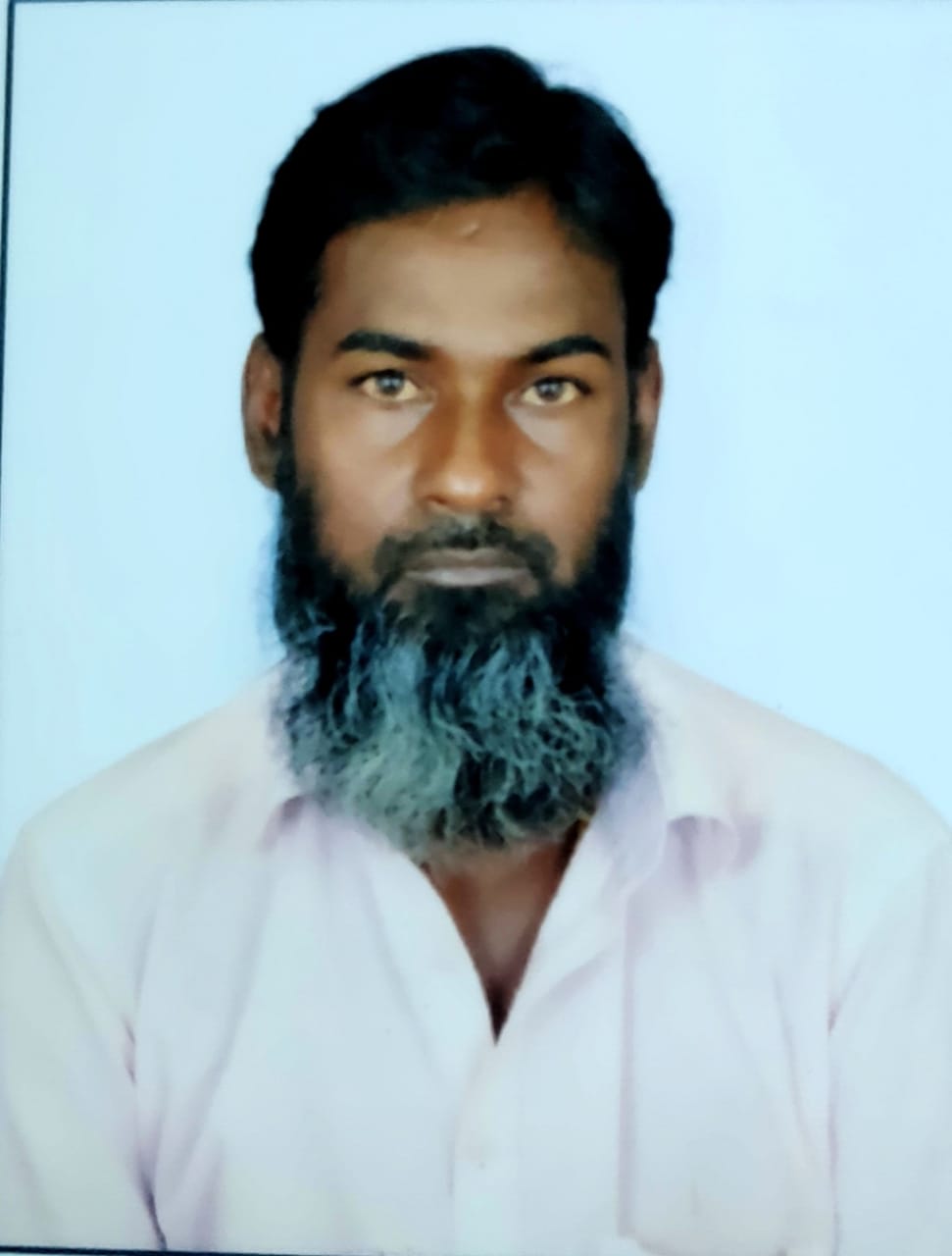Siddiq M