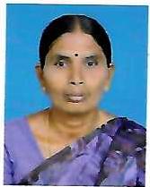 Saraswathi M