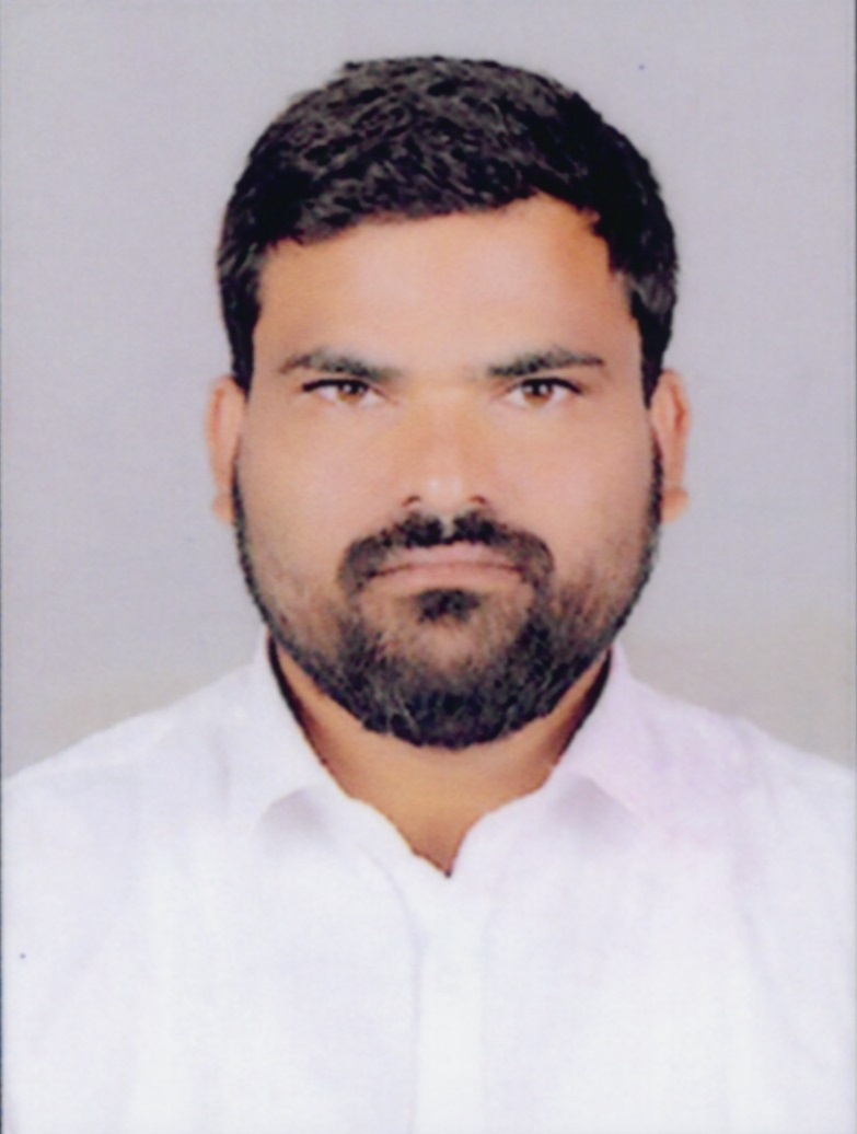 N. Praveen Kumar