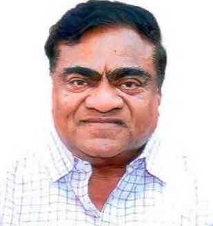 Babu Mohan Palli