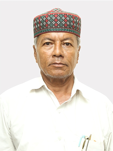 Hamid Ul Hak Chaudari