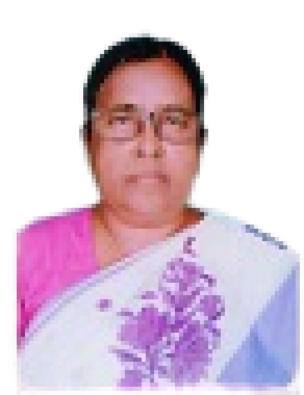 Shibani Bhowmik
