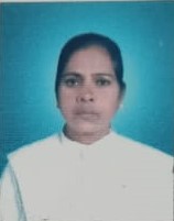 Vidya Bharti
