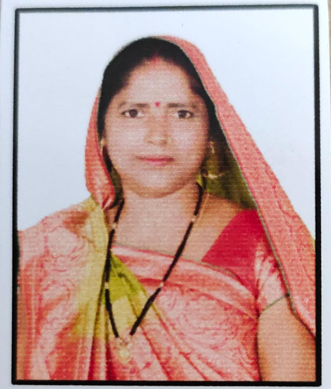 Vimla