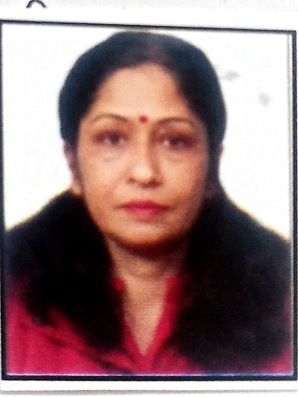 Priti Dimri