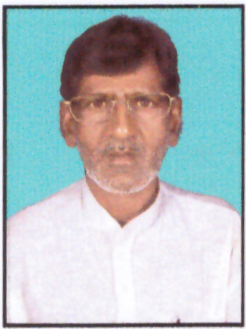 Samsul Miya
