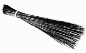 Aam Aadmi Party symbol